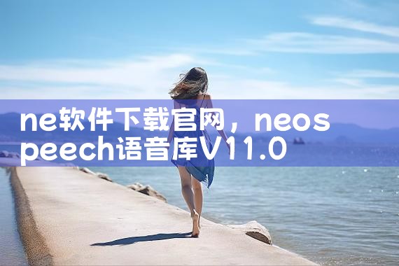 ne软件下载官网