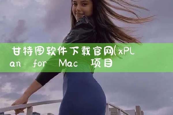 甘特图软件下载官网