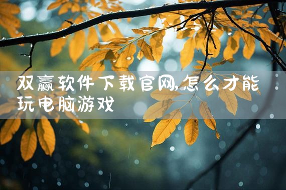 软件下载平台给钱安全吗