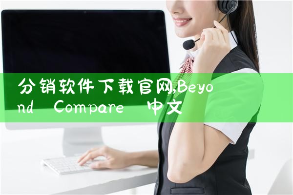 分销软件下载官网
