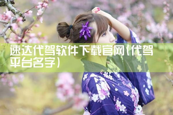 速达代驾软件下载官网