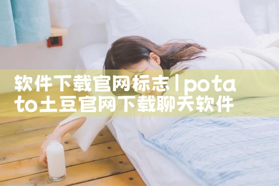 软件下载官网标志