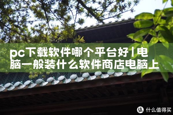 pc下载软件哪个平台好