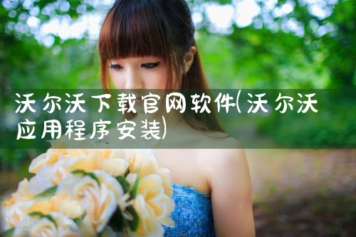 沃尔沃下载官网软件
