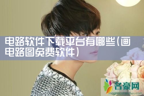 电路软件下载平台有哪些